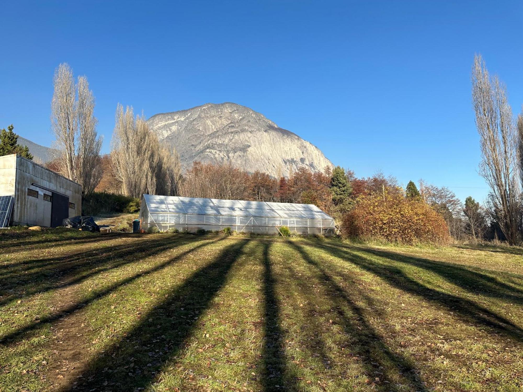 Hotel Patagonia House Coyhaique Bagian luar foto